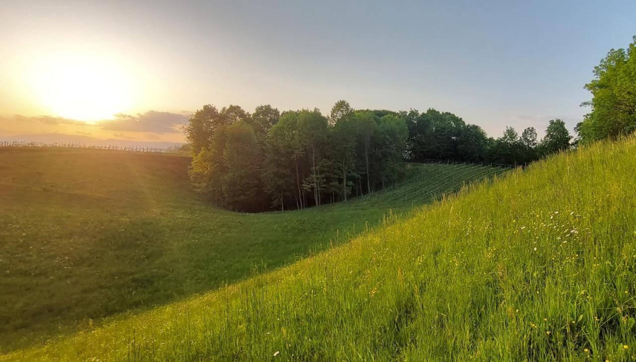 Agriturismo L'Eremo Volpago del Montello Екстериор снимка
