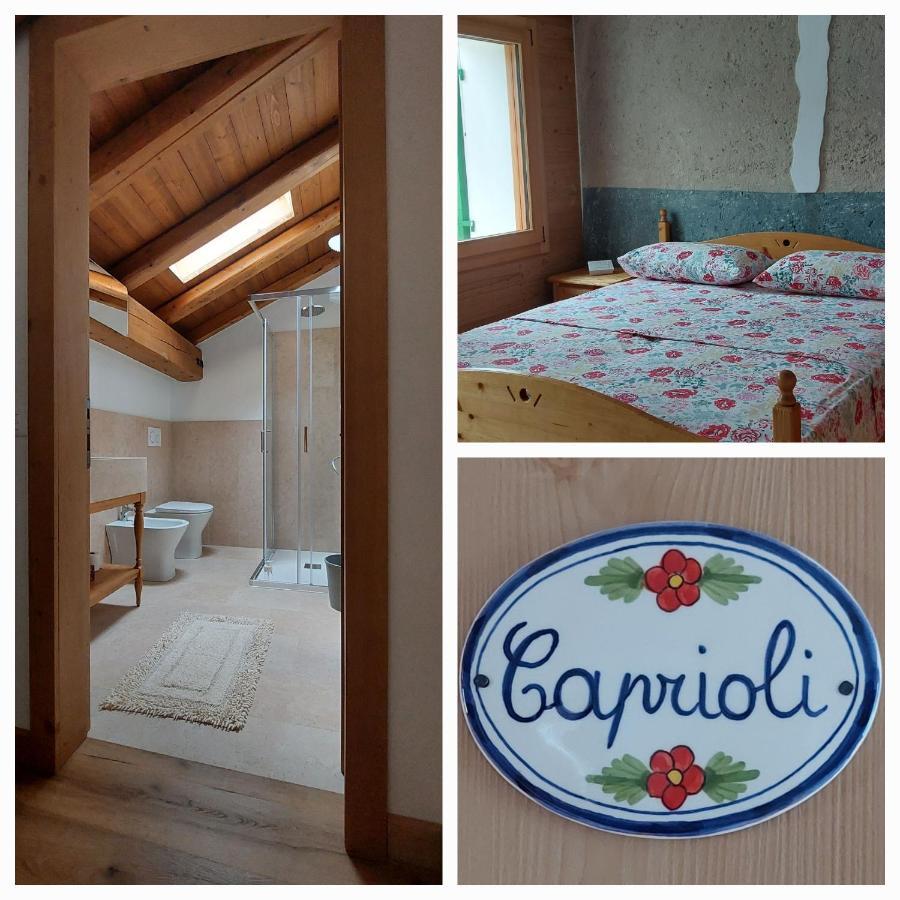 Agriturismo L'Eremo Volpago del Montello Екстериор снимка
